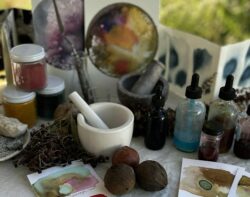 Wild Colors! - Sun, Sept 20, 2026