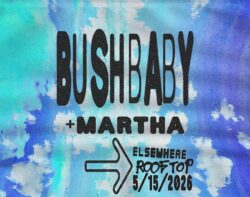Bushbaby, MARTHA